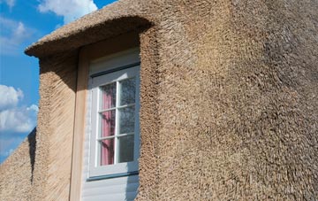 Housetter thatch roof disadvantages